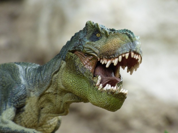 Dinosaur Prehistory Toy Game Tyrannosaurus